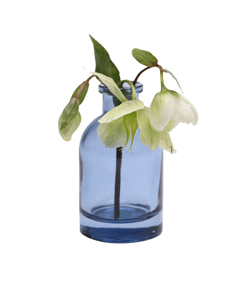 Loft Glass Vintage Bud Vases For Weddings - Chive US Wholesale