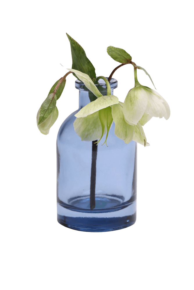 Loft Glass Vintage Bud Vases For Weddings - Chive US Wholesale