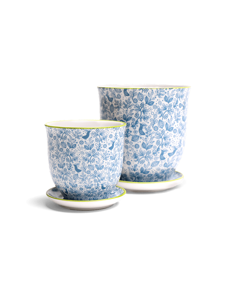 Liberte Porcelain Pot And Saucer Set With Drainage - Chive US Wholesale