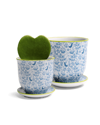 Liberte Porcelain Pot And Saucer Set With Drainage - Chive US Wholesale