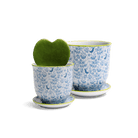 Liberte Porcelain Pot And Saucer Set With Drainage - Chive US Wholesale