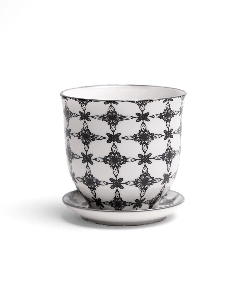 Liberte Porcelain Pot And Saucer Set With Drainage - Chive US Wholesale
