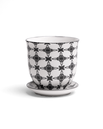 Liberte Porcelain Pot And Saucer Set With Drainage - Chive US Wholesale