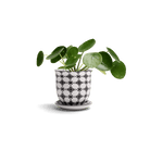 Liberte Porcelain Pot And Saucer Set With Drainage - Chive US Wholesale