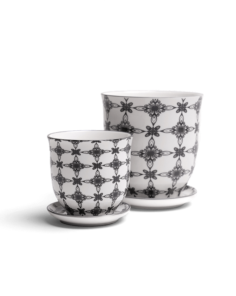 Liberte Porcelain Pot And Saucer Set With Drainage - Chive US Wholesale
