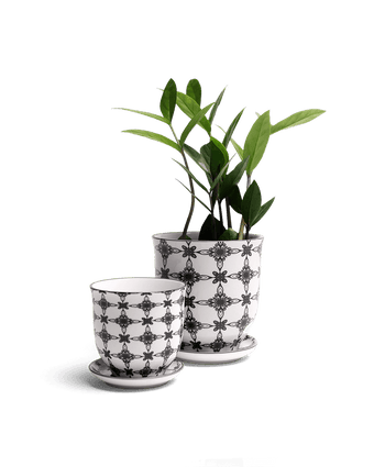Liberte Porcelain Pot And Saucer Set With Drainage - Chive US Wholesale