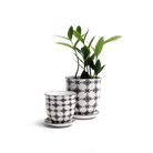 Liberte Porcelain Pot And Saucer Set With Drainage - Chive US Wholesale