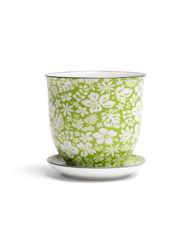 Liberte Porcelain Pot And Saucer Set With Drainage - Chive US Wholesale