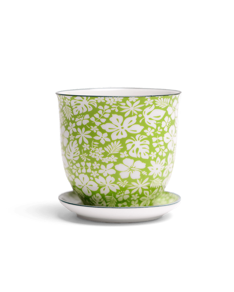 Liberte Porcelain Pot And Saucer Set With Drainage - Chive US Wholesale