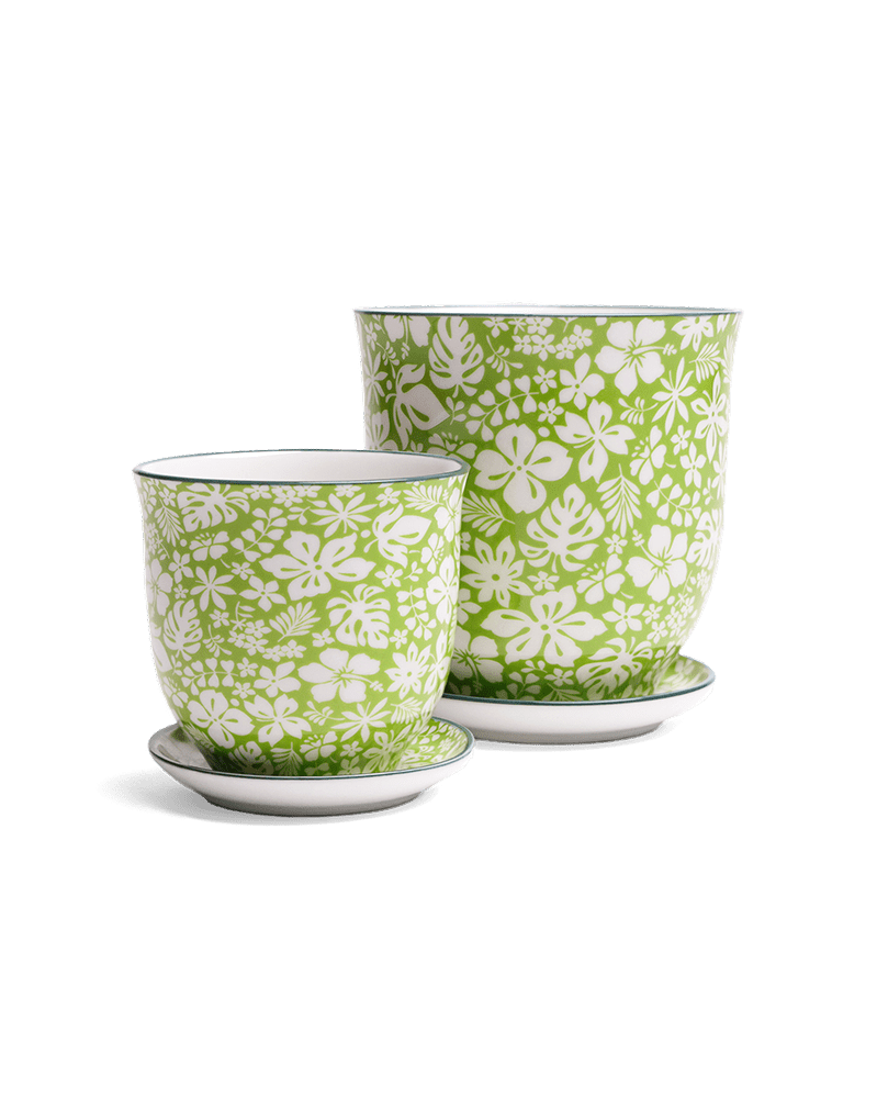 Liberte Porcelain Pot And Saucer Set With Drainage - Chive US Wholesale