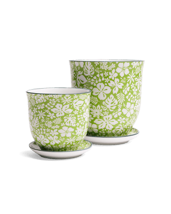 Liberte Porcelain Pot And Saucer Set With Drainage - Chive US Wholesale