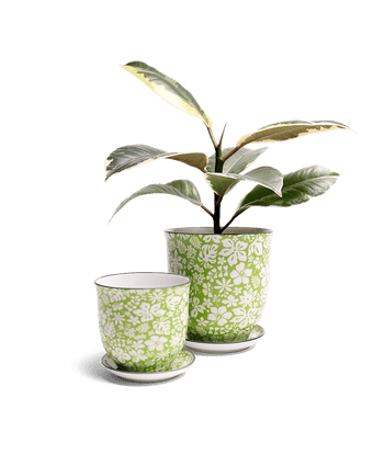 Liberte Porcelain Pot And Saucer Set With Drainage - Chive US Wholesale