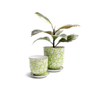 Liberte Porcelain Pot And Saucer Set With Drainage - Chive US Wholesale