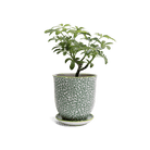 Liberte Porcelain Pot And Saucer Set With Drainage - Chive US Wholesale