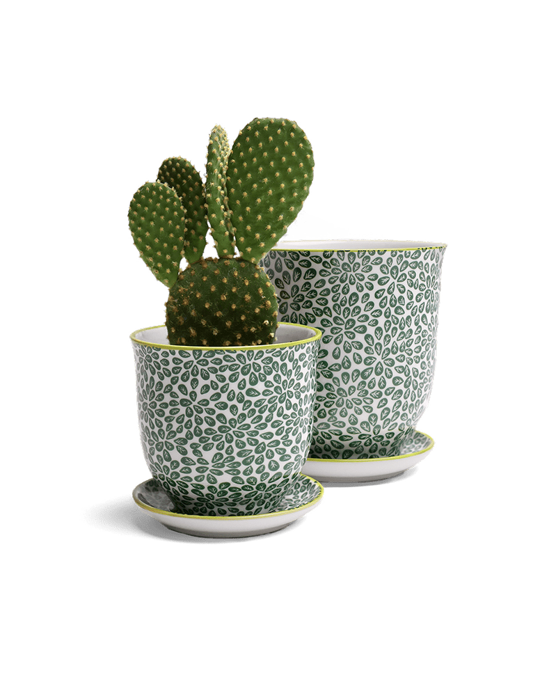 Liberte Porcelain Pot And Saucer Set With Drainage - Chive US Wholesale