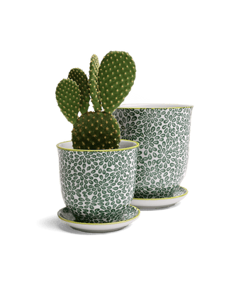 Liberte Porcelain Pot And Saucer Set With Drainage - Chive US Wholesale