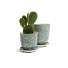 Liberte Porcelain Pot And Saucer Set With Drainage - Chive US Wholesale