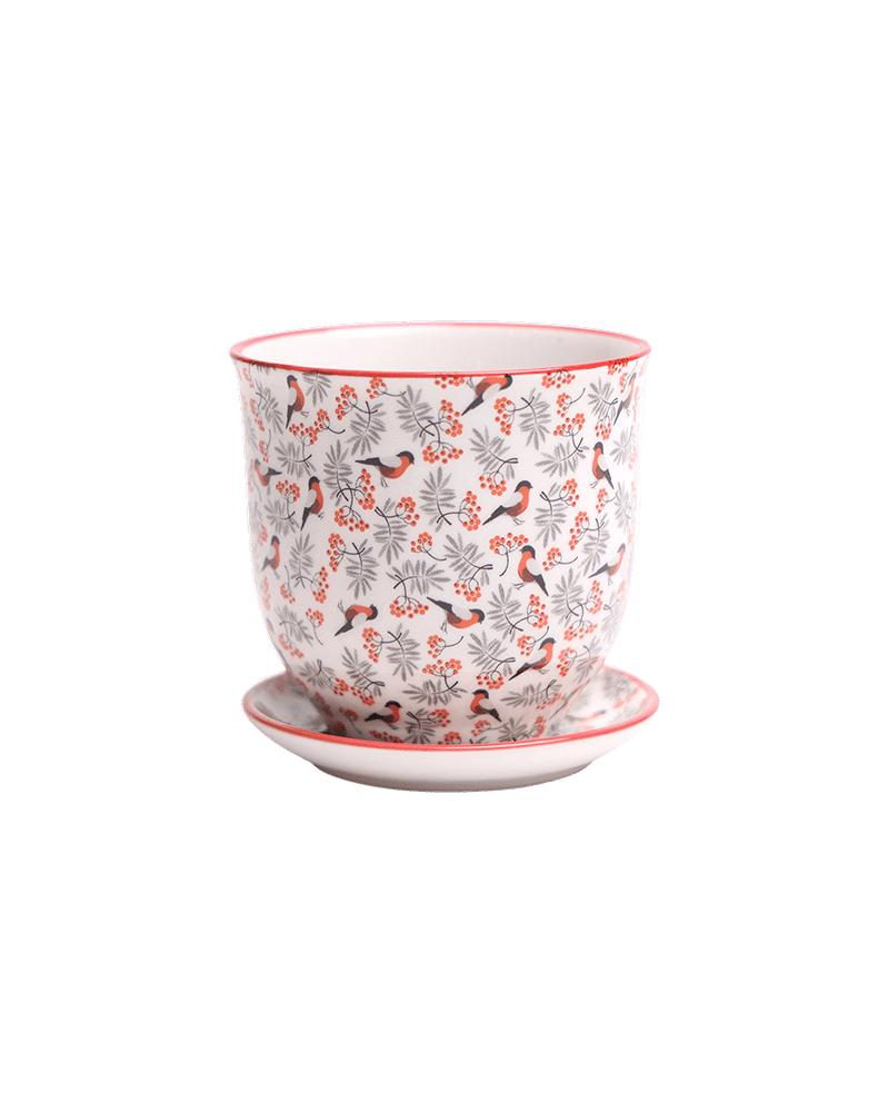 Liberte Porcelain Pot And Saucer Set With Drainage - Chive US Wholesale