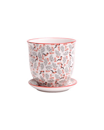 Liberte Porcelain Pot And Saucer Set With Drainage - Chive US Wholesale