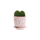 Liberte Porcelain Pot And Saucer Set With Drainage - Chive US Wholesale