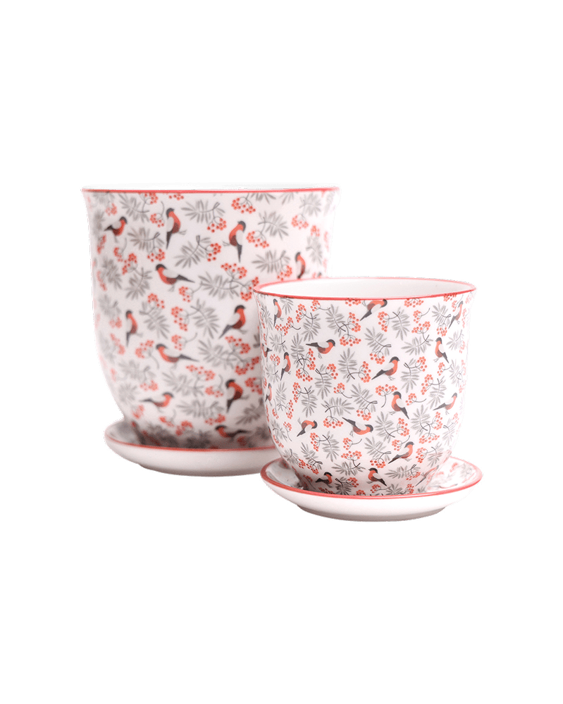Liberte Porcelain Pot And Saucer Set With Drainage - Chive US Wholesale