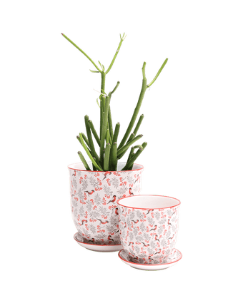 Liberte Porcelain Pot And Saucer Set With Drainage - Chive US Wholesale