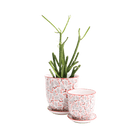 Liberte Porcelain Pot And Saucer Set With Drainage - Chive US Wholesale