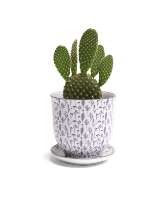 Liberte Porcelain Pot And Saucer Set With Drainage - Chive US Wholesale