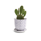 Liberte Porcelain Pot And Saucer Set With Drainage - Chive US Wholesale