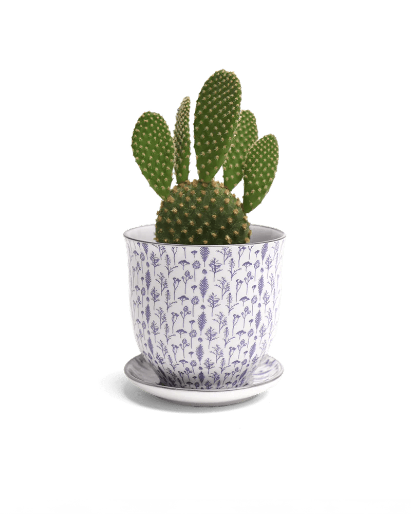 Liberte 4 Pot And Saucer 48pc Kit - Medium - Chive US Wholesale
