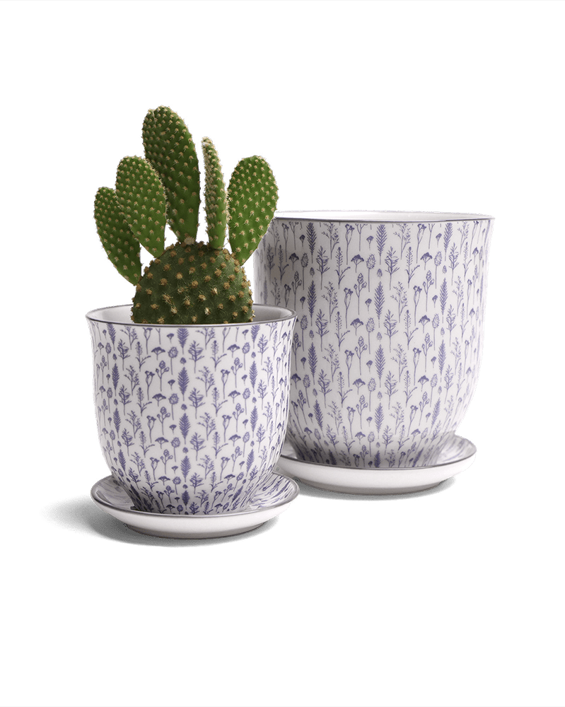 Liberte Porcelain Pot And Saucer Set With Drainage - Chive US Wholesale