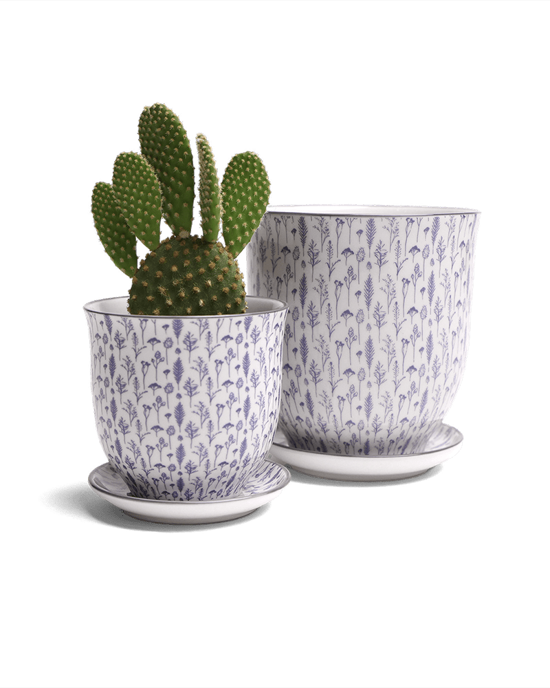 Liberte Porcelain Pot And Saucer Set With Drainage - Chive US Wholesale