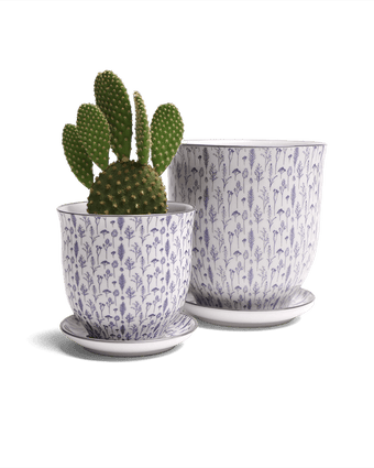 Liberte Porcelain Pot And Saucer Set With Drainage - Chive US Wholesale