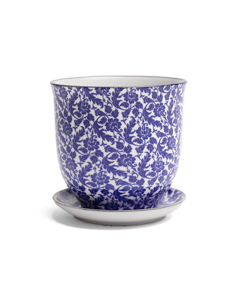 Liberte Porcelain Pot And Saucer Set With Drainage - Chive US Wholesale