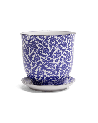Liberte Porcelain Pot And Saucer Set With Drainage - Chive US Wholesale