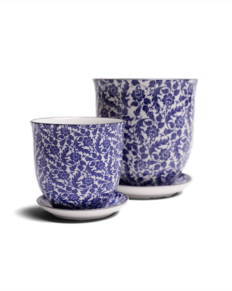 Liberte Porcelain Pot And Saucer Set With Drainage - Chive US Wholesale