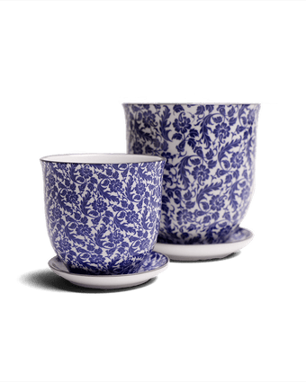 Liberte Porcelain Pot And Saucer Set With Drainage - Chive US Wholesale