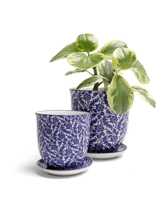 Liberte Porcelain Pot And Saucer Set With Drainage - Chive US Wholesale