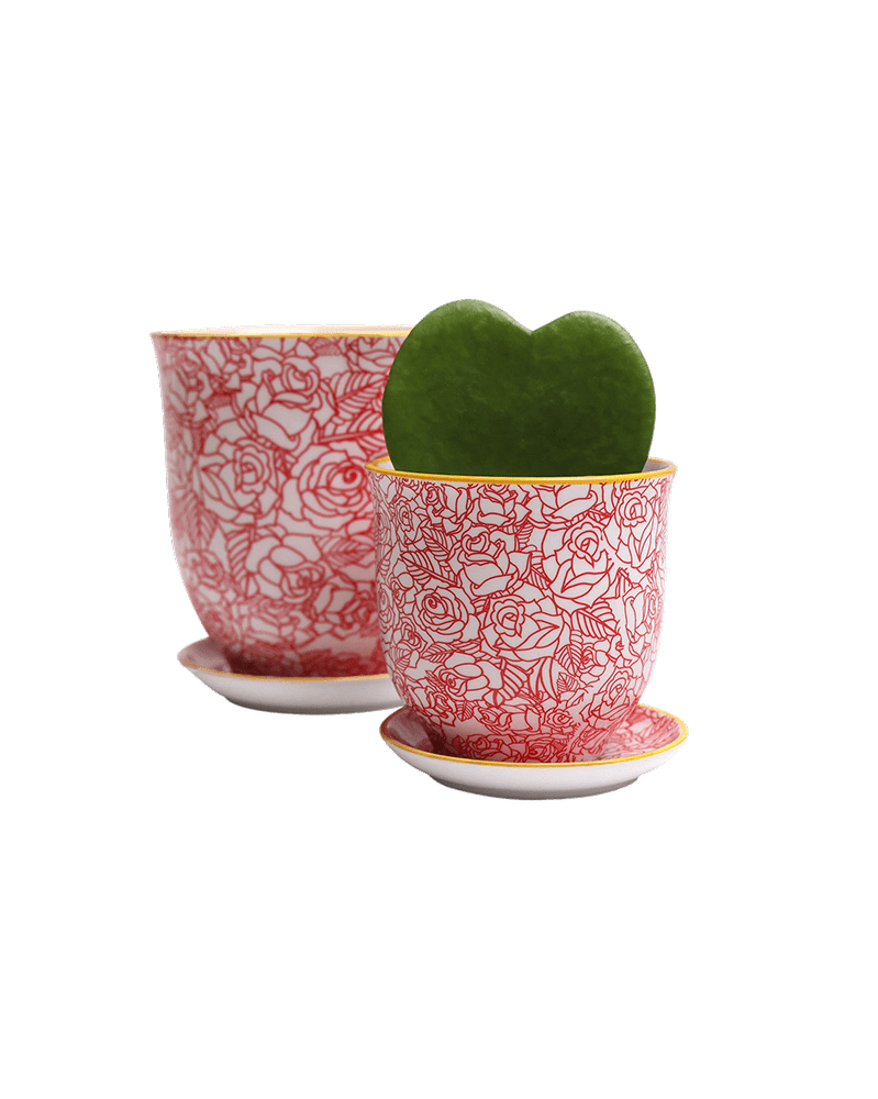 Liberte Porcelain Pot And Saucer Set With Drainage - Chive US Wholesale