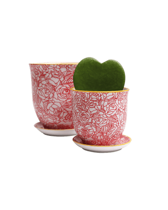 Liberte Porcelain Pot And Saucer Set With Drainage - Chive US Wholesale