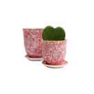 Liberte Porcelain Pot And Saucer Set With Drainage - Chive US Wholesale