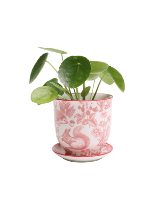 Liberte Porcelain Pot And Saucer Set With Drainage - Chive US Wholesale