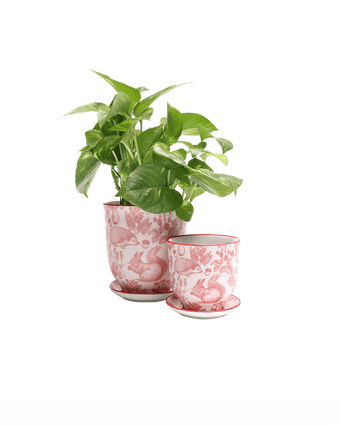 Liberte Porcelain Pot And Saucer Set With Drainage - Chive US Wholesale