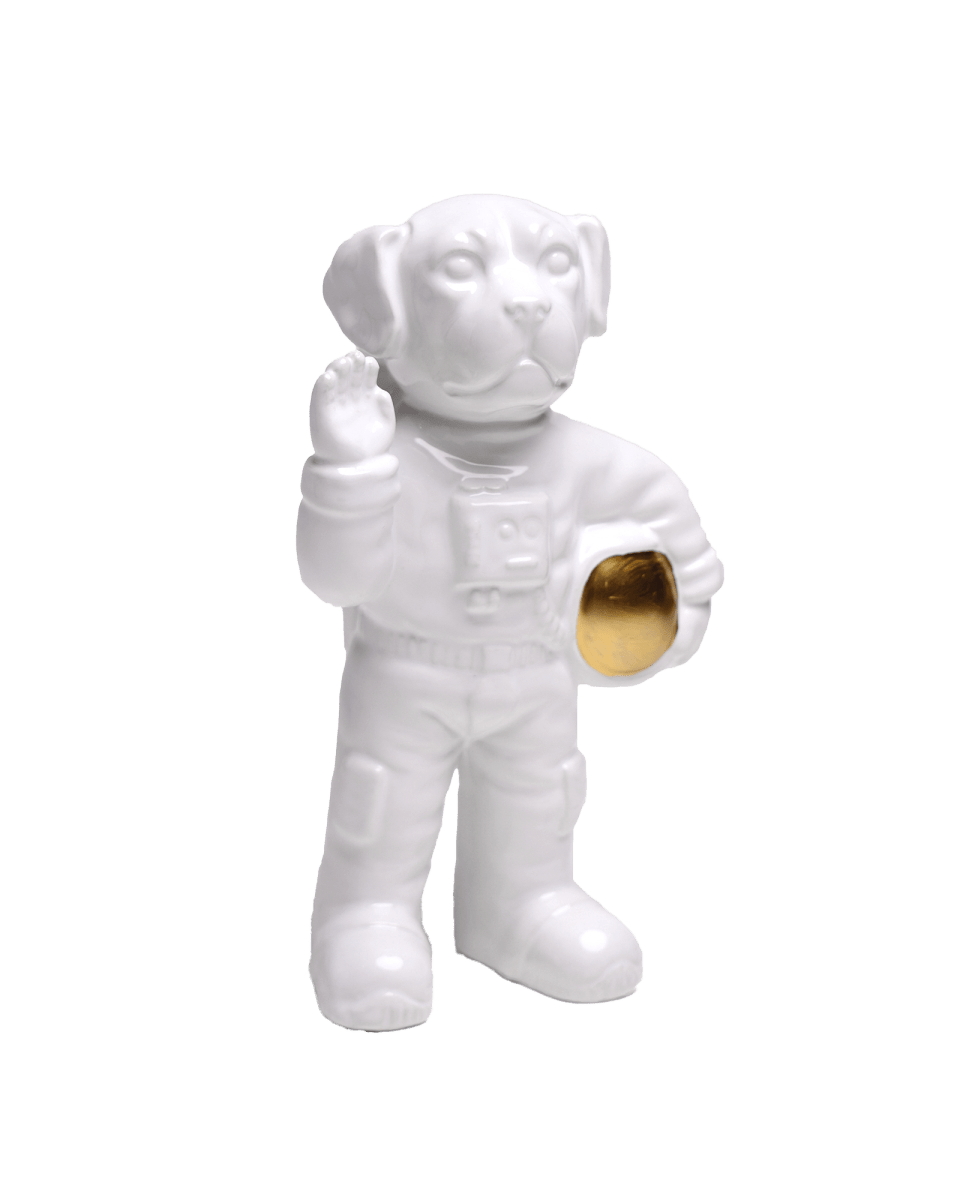 Laika the Astronaut Ceramic Vase - Chive US Wholesale