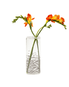 Decal Glass Modern Flower Vase - Chive US Wholesale