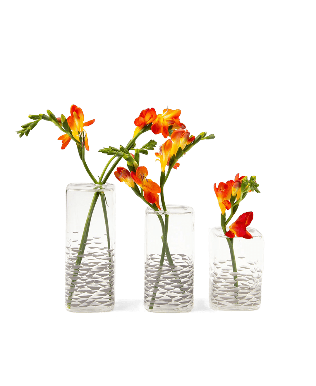 Decal Glass Modern Flower Vase - Chive Ceramics Studio - Vases - Chive US Wholesale