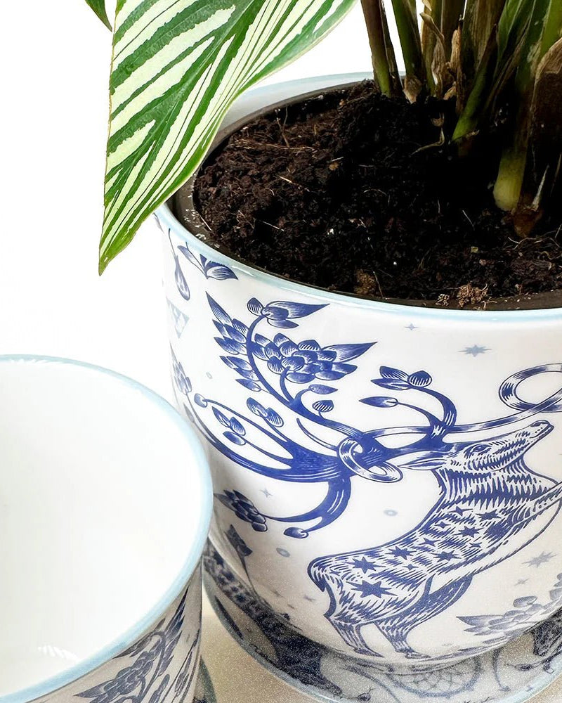 Liberte 5 Porcelain Pot And Saucer Kit With Drainage - Chive US Wholesale