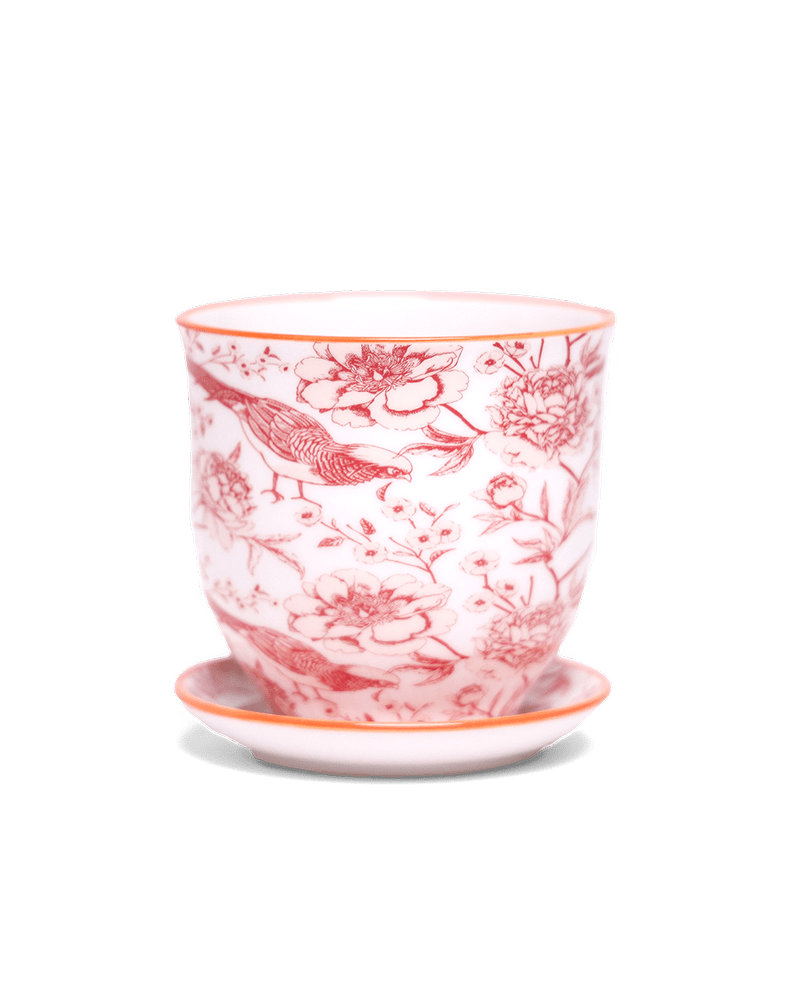 Liberte 5 Porcelain Pot And Saucer With Drainage - Chive US Wholesale