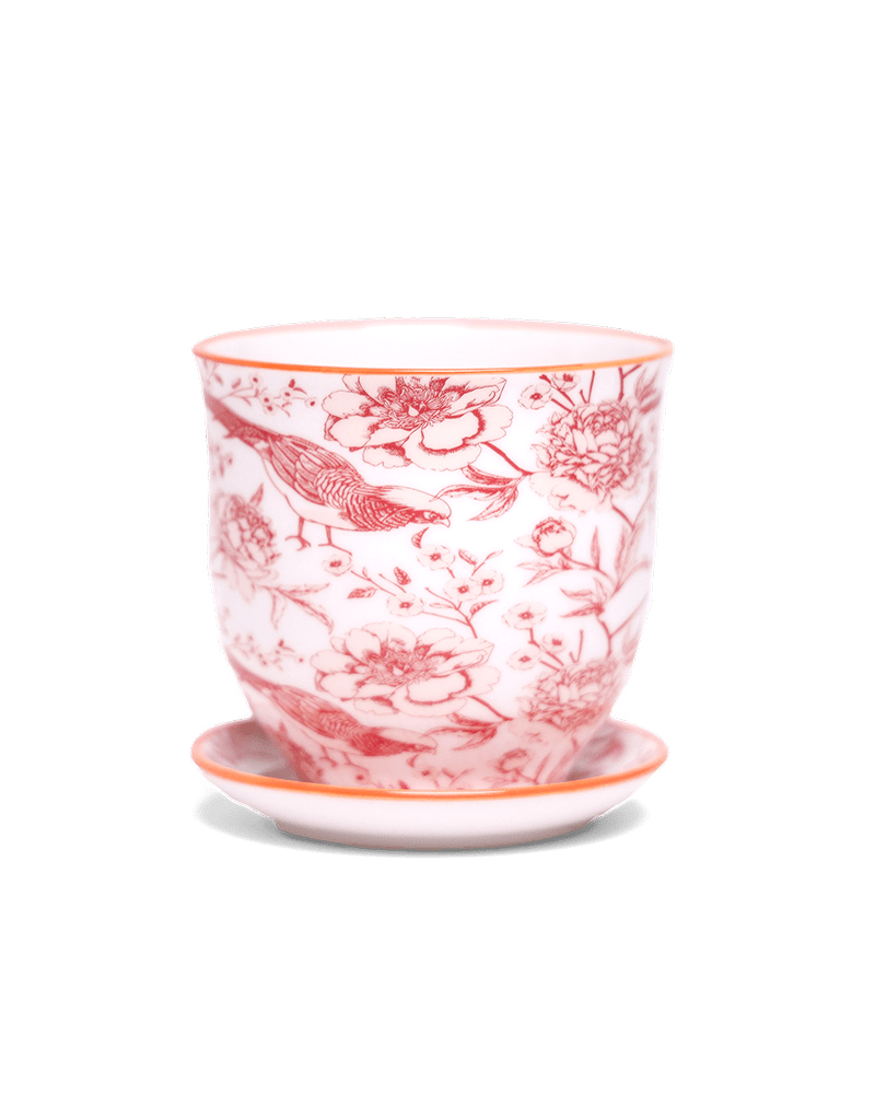 Liberte 5 Porcelain Pot And Saucer With Drainage - Chive US Wholesale