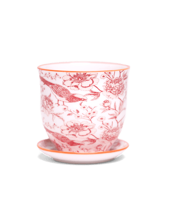 Liberte 5 Porcelain Pot And Saucer With Drainage - Chive US Wholesale